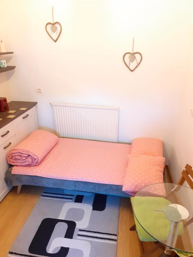Studio La Stefy Apartment Sibiu Ngoại thất bức ảnh