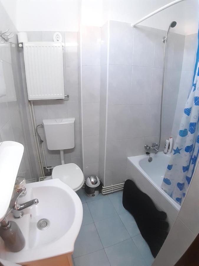 Studio La Stefy Apartment Sibiu Ngoại thất bức ảnh