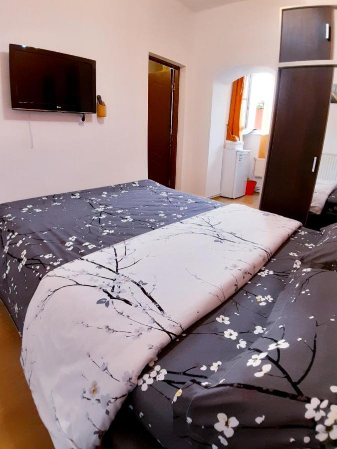 Studio La Stefy Apartment Sibiu Ngoại thất bức ảnh